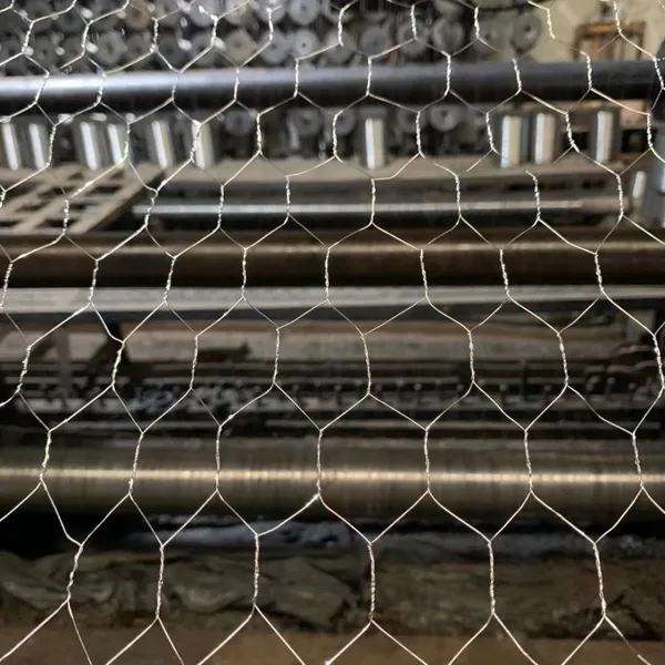 Durable Hexagonal Wire Mesh Netting With Hexagon Holes for Poultry Farming photo-4