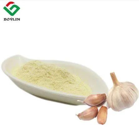 Garlic Extract Powder