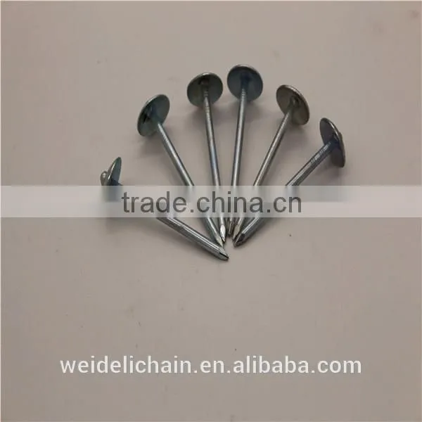 Hardware Umbrella Roofing Nails photo-2