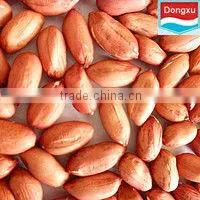 Groundnut / Peanut Kernels