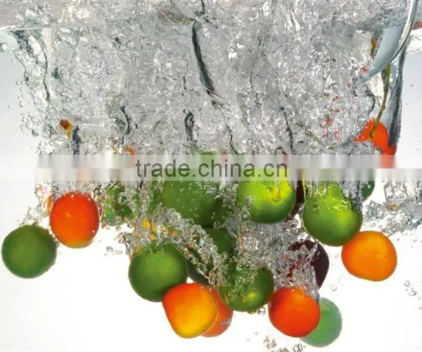 Fruit & Vegetable Processing Machines Industrial Fruit Brush Roller For Potato Washing Machine photo-5