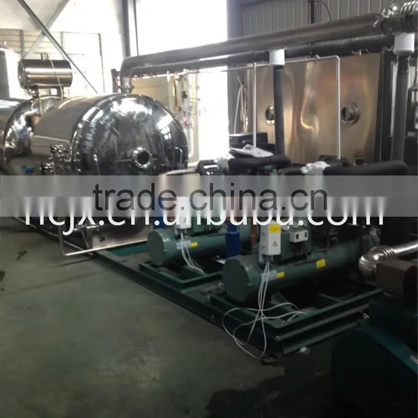 Vacuum Freeze Dryer for Food photo-3