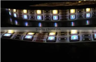New Arrival! 5050 12v 30leds/60leds Rgbw LED Tape/LED Strips Made in China photo-5
