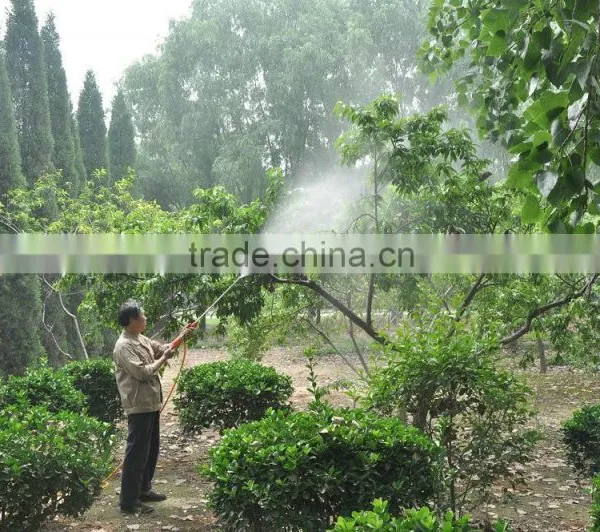 China Gasoline Motor Power Sprayer Pump Agriculture Spray Machine Garden Sprayer photo-6