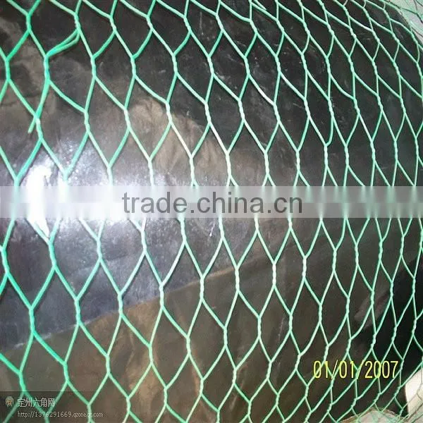 Green Pvc Coated Chicken Wire Mesh photo-2