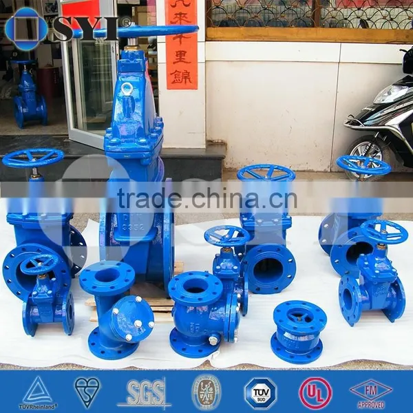 BS5153 Ductile Iron Check Valve photo-6