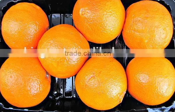 We Are Supply Fresh Navel Orange With Good Quality for Sale photo-6