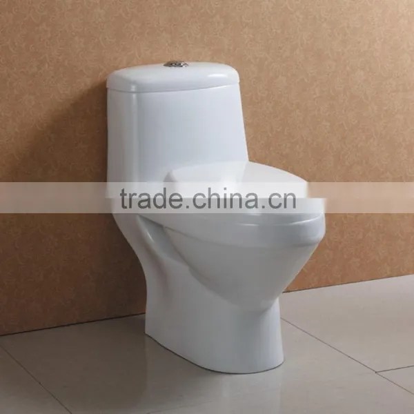 Modern White Finished Wash Down Freestanding Water Closet photo-2