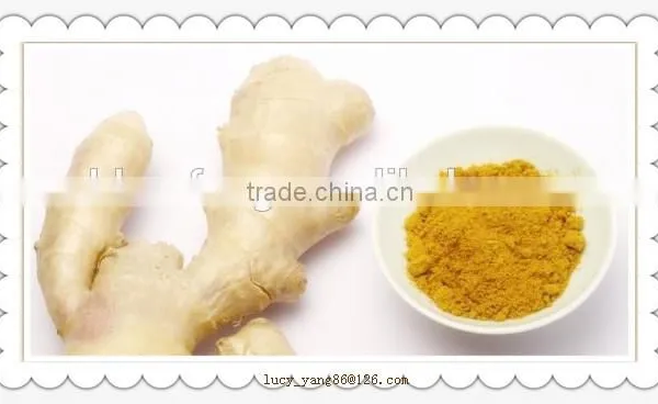 Ginger Powder Benefits of Ginger Powder Healthy Products photo-4