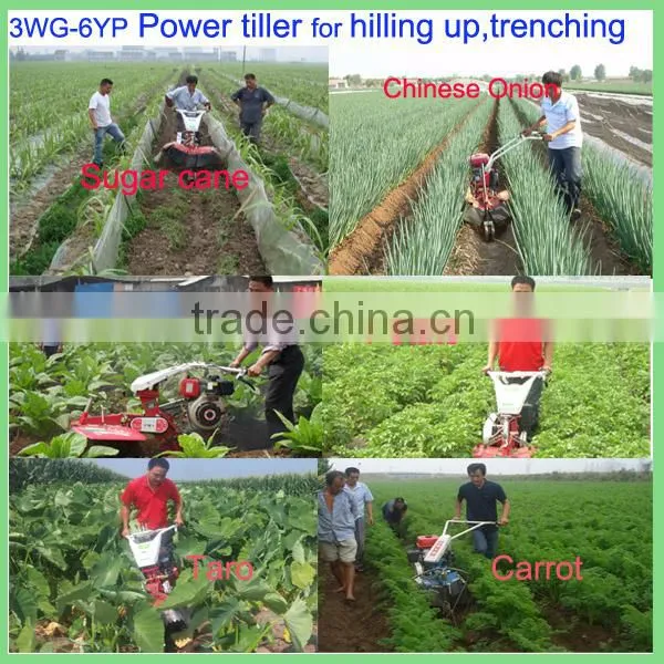 Rototiller Ridging In Sweet Potato Field photo-6