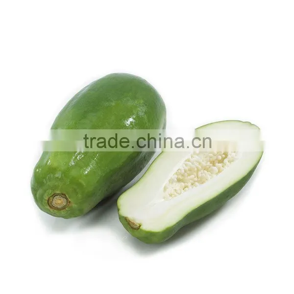 Green Papaya Exporters photo-2