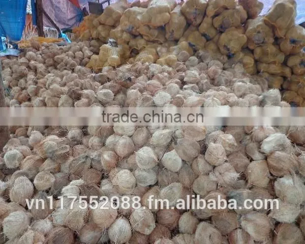 Vietnam Cheap Mature Semi Husked Coconut photo-4