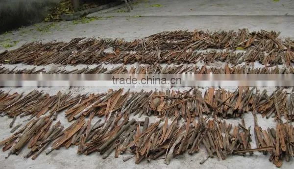 Cassia Split Vietnam Origin