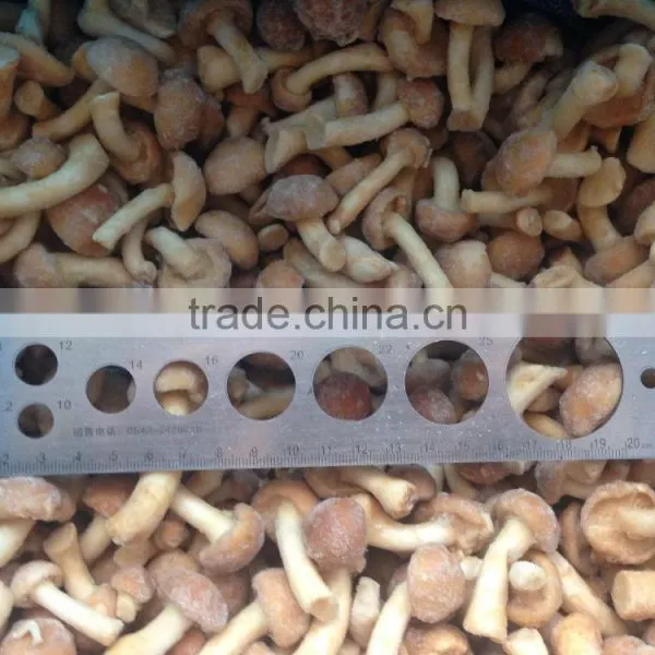 Frozen Nameko photo-4