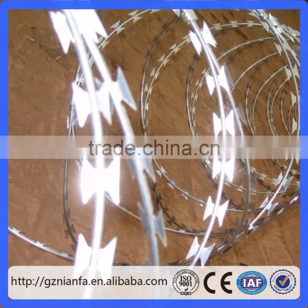 500mm BTO-22 Low Price Galvanized Concertina Razor Barbed Wire(Guangzhou Manufacturer) photo-3