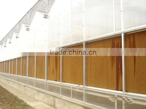 Greenhouse Farm for Sale 7090 Evaporative Cooler Pad Malaysia photo-5