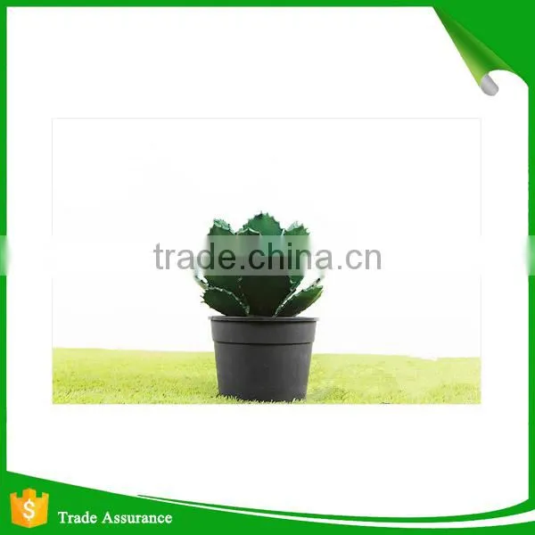 Wholesale Natural Artificial Plastic Cactus Plant photo-5