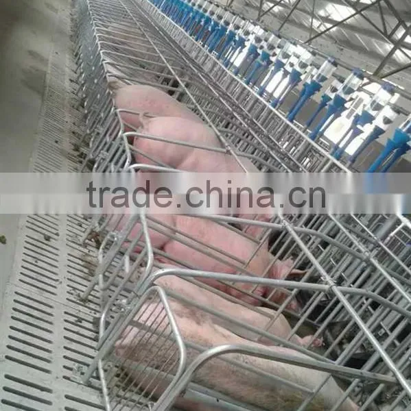 Professional Slat Floor for Goat Farm Machinery Spare Part Poultry Equipment photo-3