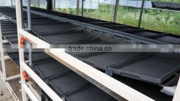 BK Conveyor Culture photo-6
