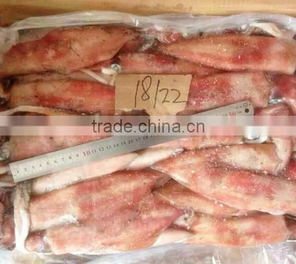 Frozen Whole Round Red Squid photo-2