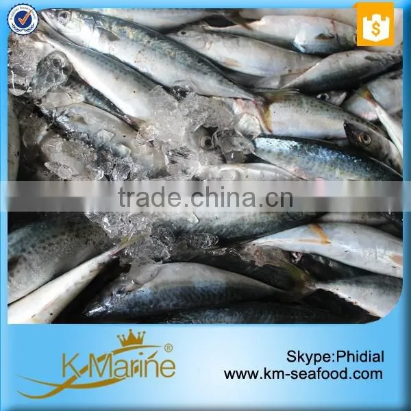 China Supplier of Sea Food Products photo-6