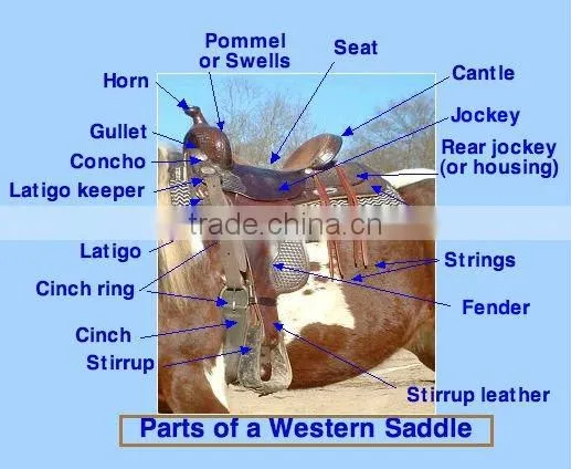 Western Saddle