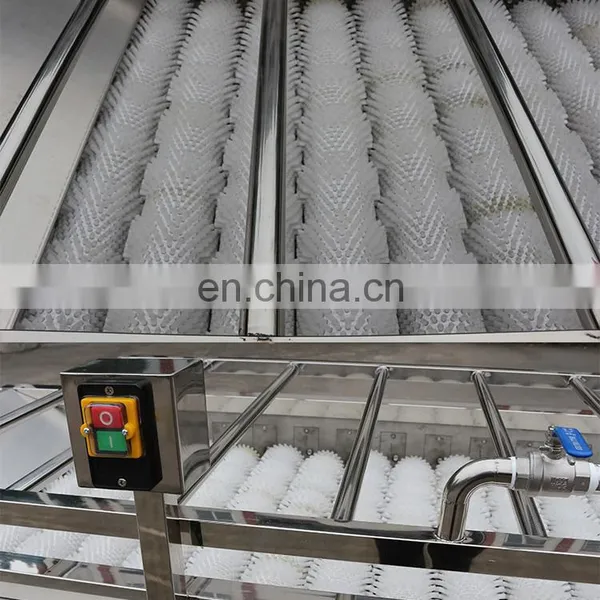 Automatic Lemon Plum Cherry Blue Berry Fruit Washer Brush Rollers Baby Carrot Potato Turnip Vegetable Washing Machine on Sale photo-7
