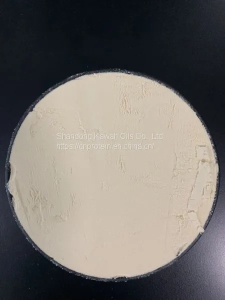 Factory Bulk Price Soy Protein Isolate 90% for Meat Sausages Beverage Dairy photo-2