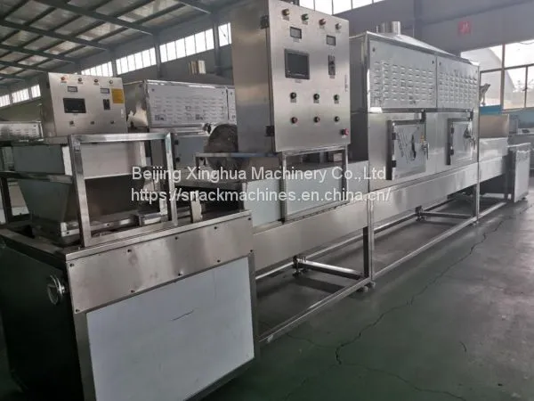 Mango Drying Microwave Drying Equipment Can Be A Lot Of Roles photo-2