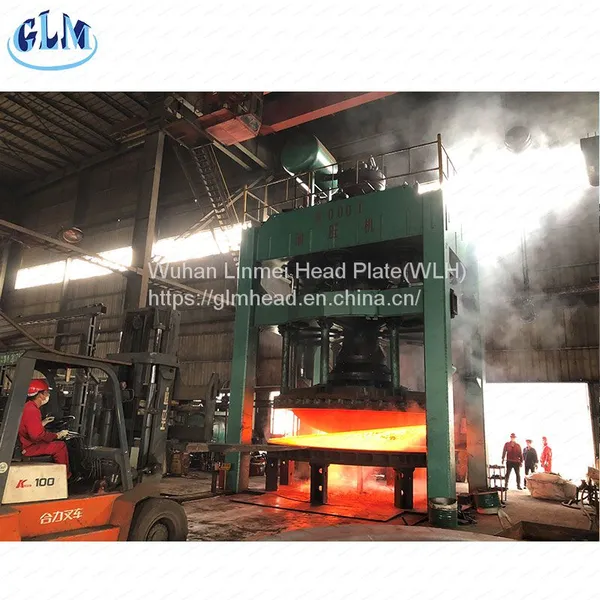 Dished End Manufacturers/ Suppliers photo-2