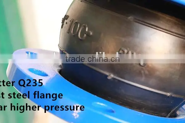 Double Flange Mechanical Below Rubber Joint photo-2