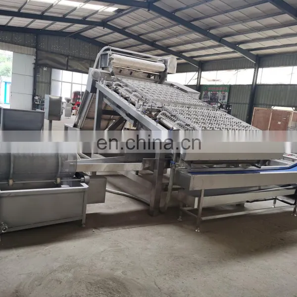 Automatic Shrimp Peeling Machine Capacity:300kg(Raw Shrimp)/h