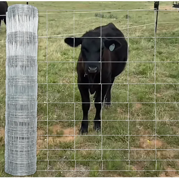 Galvanized Hinge Woven Cattle Fence Customized Sustainable Field Fence Kraal Network photo-3