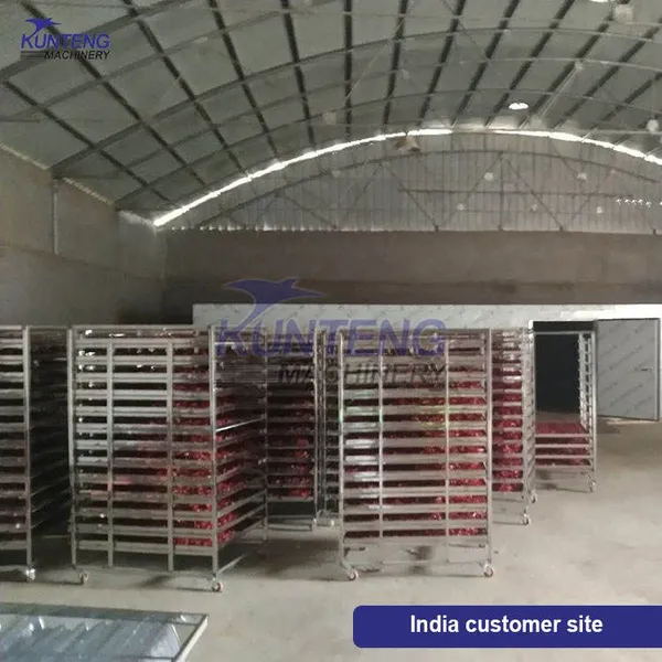 Industrial Fruit Apricots Drying Machine in Pakistan Mango Tomato Banana Herb Copra Dryer Machine EPC photo-4
