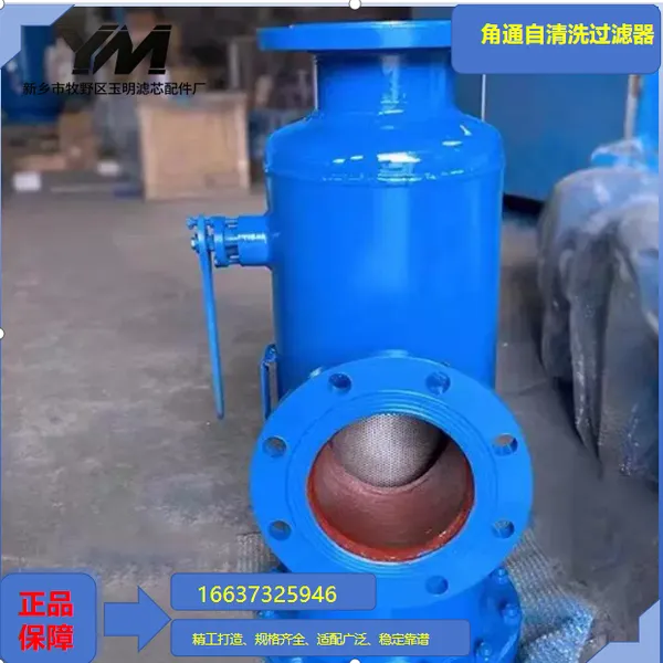 Angle Type Self-cleaning Filter photo-3