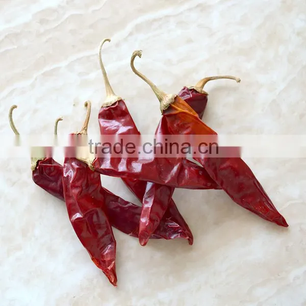 Hot Sale Good Quality Dry Long American Red Chilli