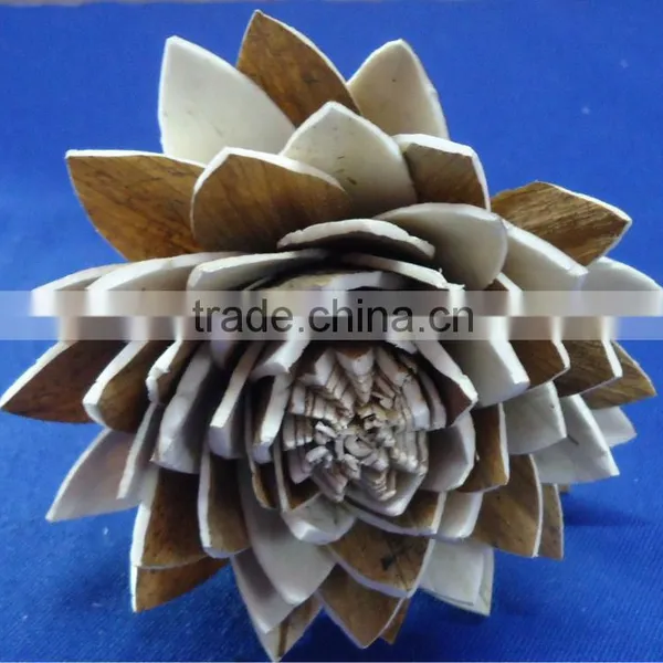 Sola Flower photo-3