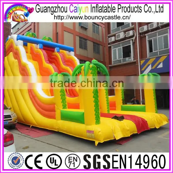 Colourful Design Inflatable Dry Slide With Trees photo-2