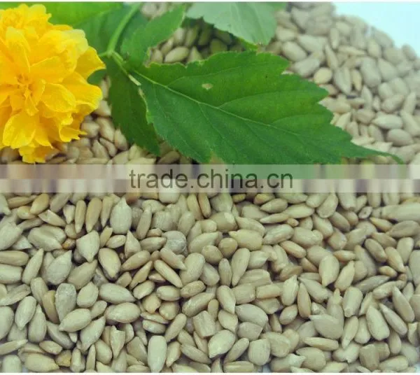 Sun Flower Seed Kernels Market Peice photo-4