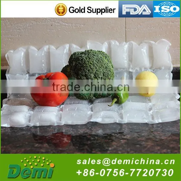 Hot Selling Cheap Custom Camping Ice Pack photo-5