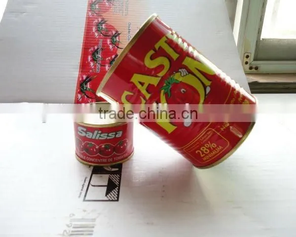 China Hot Sell Traditional Food,tomato Sauce photo-4