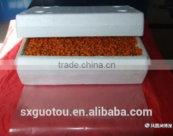 100% Nature Wild Frozen Seabuckthorn Fruit photo-3