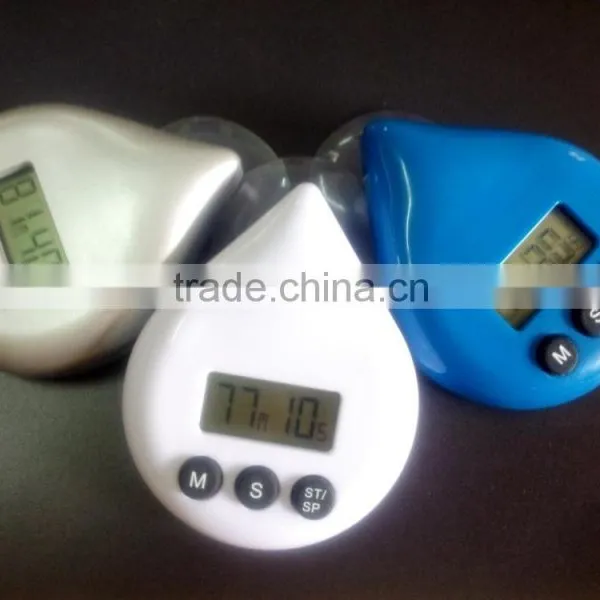 Electronic Water Timer
