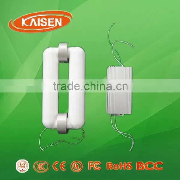 Changzhou Outdoor and Indoor Light Lvd Magnetic Induction Lamp