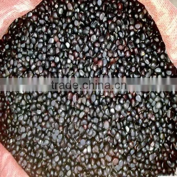Mu Dan Zhong zi Made in China With Quality Peony Seed photo-3
