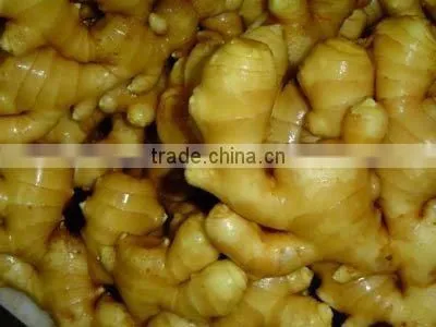 chinese ginger root