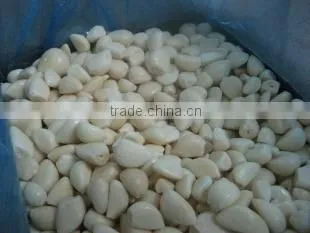 Good Qaulity IQF Peeled Garlic photo-3