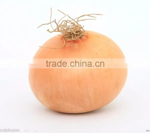 FX-128-3A Normal Type Industrial Onion Peeling Processing Machine photo-6
