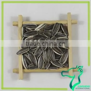 Striped Bulk Raw White Sunflower Seeds photo-3
