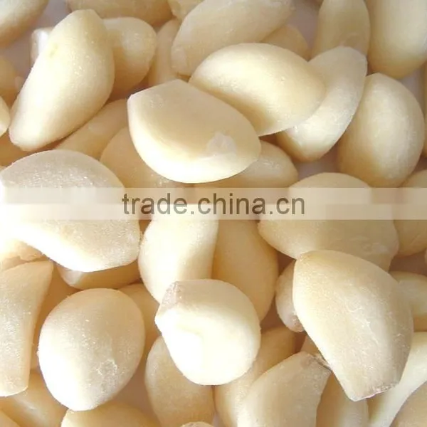 FE-06 Rice Grinding Sesame Beans Corn Grinder Food Grinding Machine photo-2
